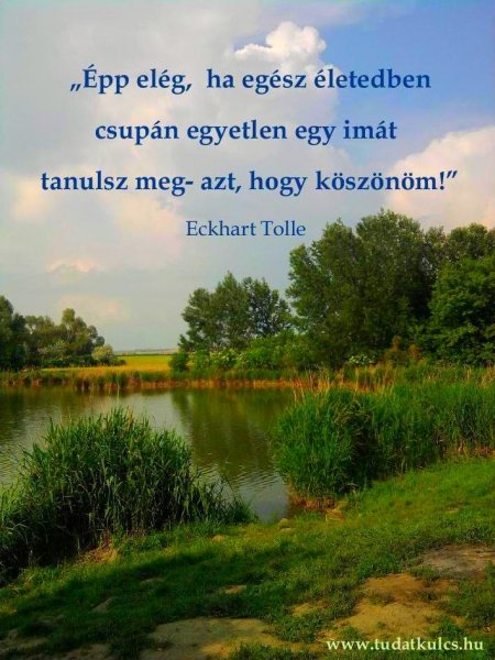 hála. képeslap szín