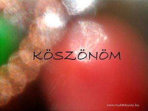 köszönöm.